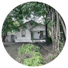 Holly District, East Austin - Ellipse-min